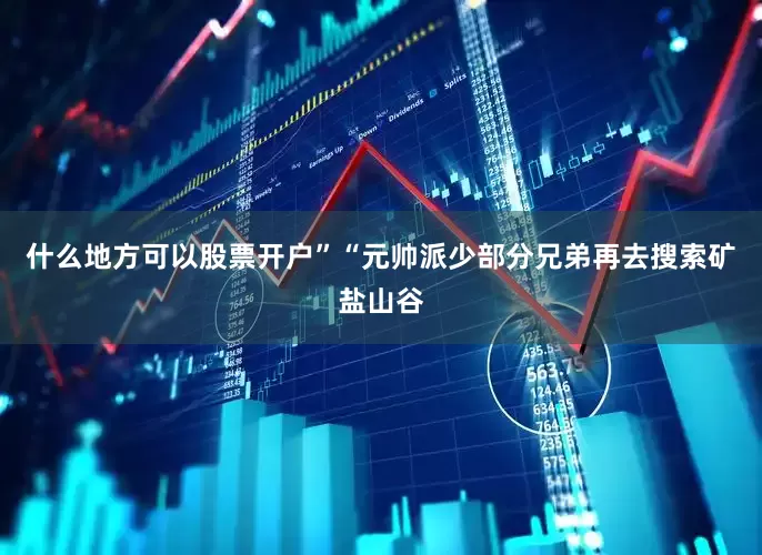 什么地方可以股票开户”“元帅派少部分兄弟再去搜索矿盐山谷