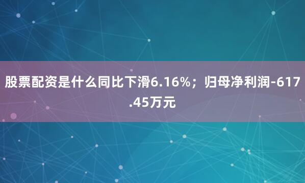 股票配资是什么同比下滑6.16%；归母净利润-617.45万元