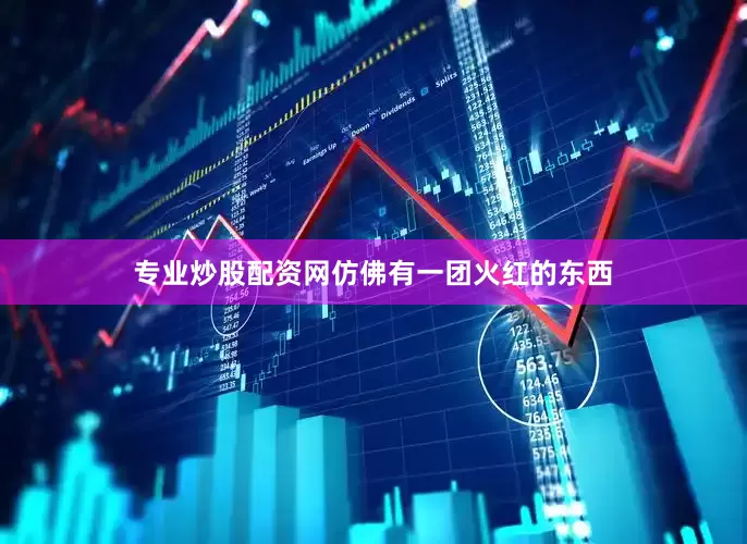 专业炒股配资网仿佛有一团火红的东西